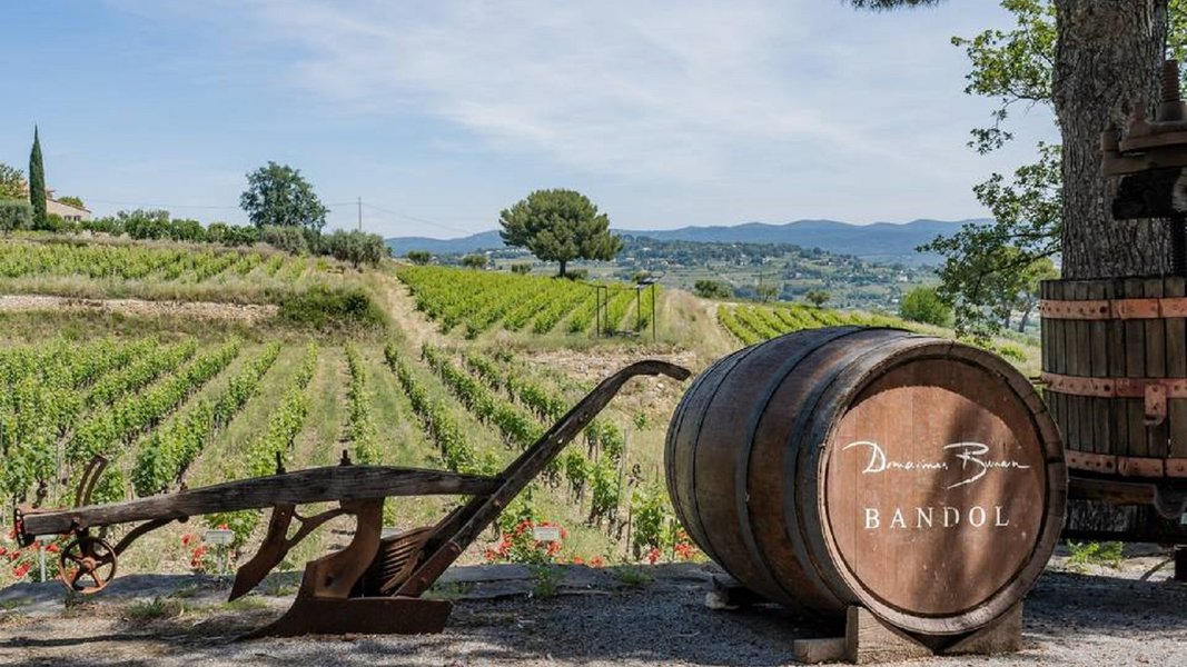 Wine Tour Bandol: Domaines Bunan