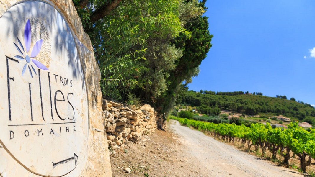 Wine Tour Bandol: Domaine des 3 Filles