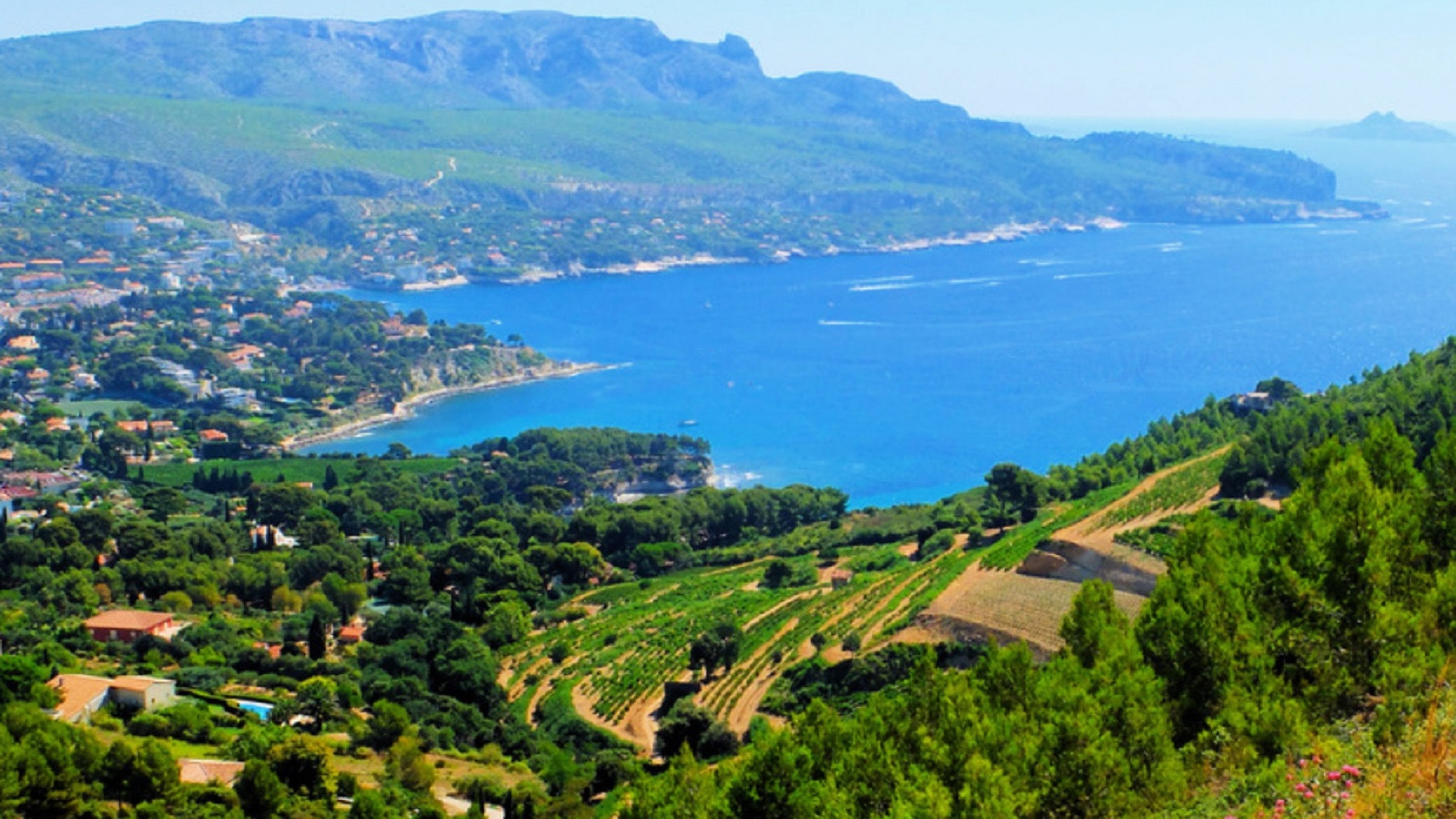 Wine Tour: Provence wine route in a vintage cabriolet