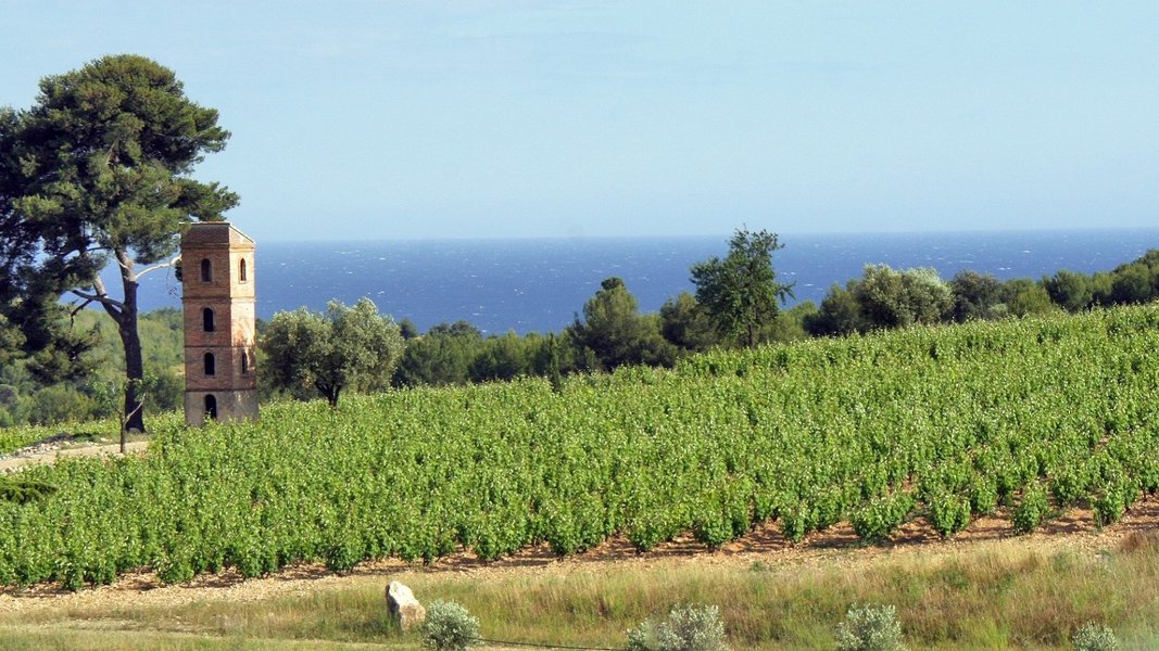 Wine Tour Bandol: Domaine de Frégate